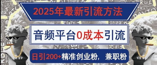 2025年全新推广方法，音频平台0成本费引流方法，日引200 精确自主创业粉