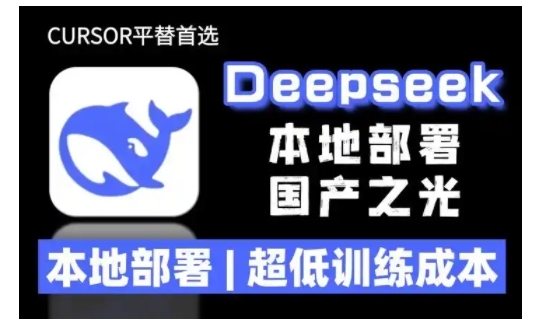 2025年deepseek R1 大型模型当地部署应用(文档 实例教程)本地部署，极低练习成本费