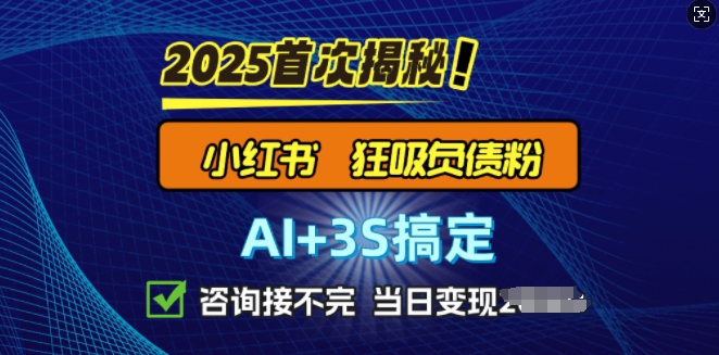 2025引流方法吊顶天花板：全新小红书的狂怒债务粉构思，资询接持续，当日入好几张