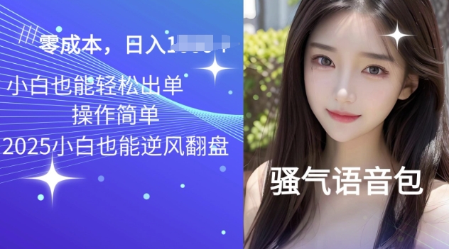 2025骚性导航语音包新项目，零基础小白单日转现好几张