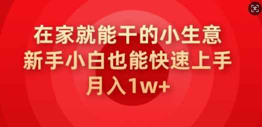 在家也能干的小生意，新手入门也可以快速入门，月入1w