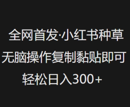独家首发，小红书种草没脑子实际操作，拷贝粘贴就可以，轻轻松松日入3张