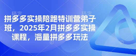 拼多多平台实际操作陪跑夏令营弟子班，2025年2月拼多多平台实操课程，大量拼多多平台游戏玩法