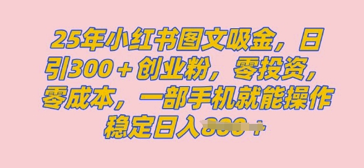 2025年小红书的自主创业粉图文并茂自然实例教程，日 300自主创业粉，单日转现好几张，没脑子实际操作，宝妈妈，新手赶紧冲