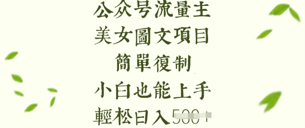 微信流量主长期收益新项目，美女照片简易拷贝，新手也可以入门，轻轻松松日入5张