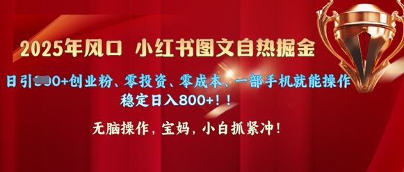 25年出风口小红书的图文并茂掘金队，日引300 自主创业粉、零投资、零成本、一部手机就能实际操作
