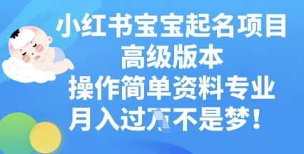 小红书的宝宝取名新项目高端版本号，使用方便，材料技术专业，月入了W
