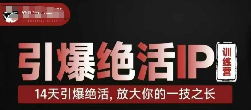 点爆绝技IP夏令营，14天点爆绝技，变大你一技之长