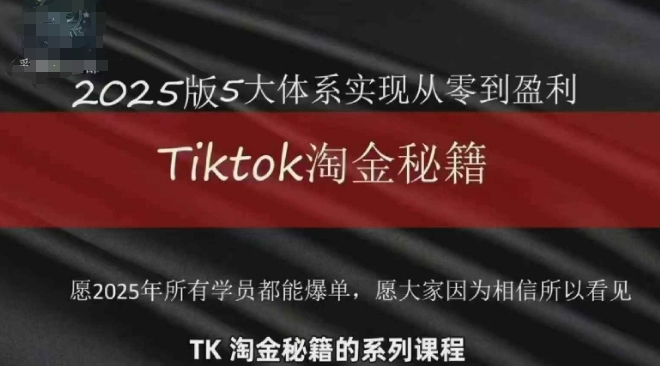 TikTok跨境2025淘金秘籍，?2025TikTok从0到盈利变现