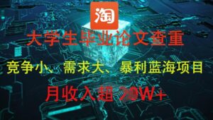在校大学生论文查重，爆利蓝海项目，月收益过1W