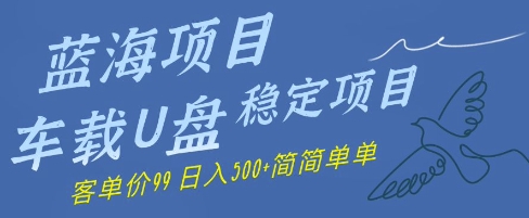 蓝海项目车载式U盘平稳新项目，赚的便是信息不对称，客单量99，日入多张很简单