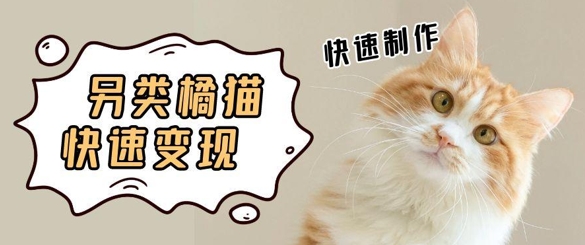 5个作品增粉30W！AI 武林橘猫视频制做，新手轻松入手，一条条爆品，一条条转现，单日就可盈利