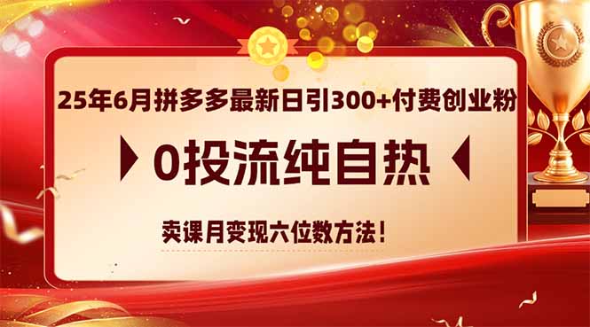 （14989期）25年6月拼多多最新日引300 付钱自主创业粉，0投流纯自然 购买课程月转现六位数方式