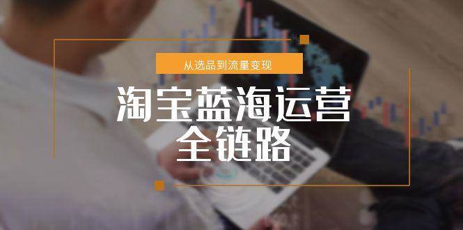 （15158期）拼多多虚拟电商入门，精准选品方法论，无货源模式起盘技巧