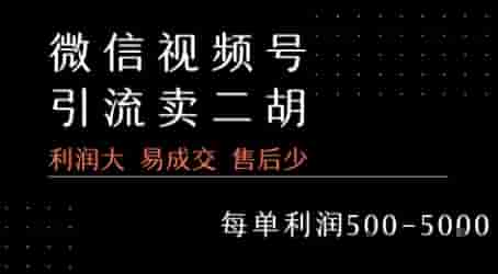 视频号卖二胡教程，利润大 易成交 售后少，一单利润5张+
