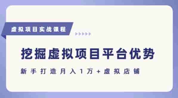 抓住虚拟项目各平台优势，新手轻松月入1W+(给出具体建议)