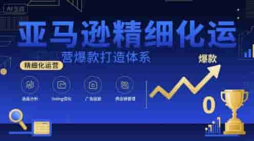 亚马逊精细化运营爆款打造体系，视频课+全套资料文档