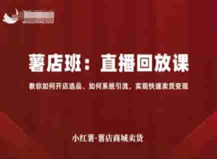 小红薯薯店商城卖货直播回放课，教你如何开店选品、如何系统引流，实现快速卖货变现