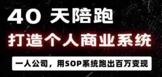 40天陪跑打造个人商业系统，一人公司，用SOP系统跑出百W变现