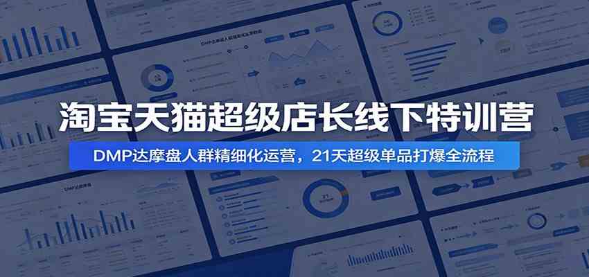 淘宝天猫超级店长线下特训营：DMP达摩盘人群精细化运营，21天超级单品打爆全流程