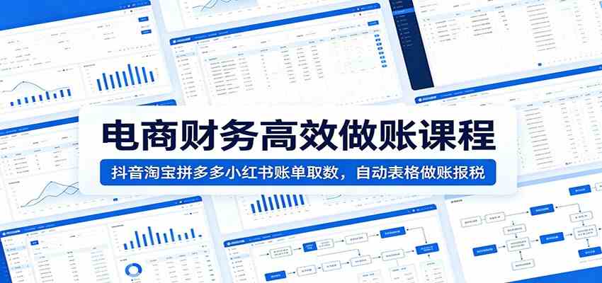 电商财务高效做账课程：抖音淘宝拼多多小红书账单取数，自动表格做账报税