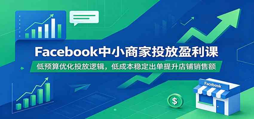 Facebook中小商家投放盈利课：低预算优化投放逻辑，低成本稳定出单提升店铺销售额