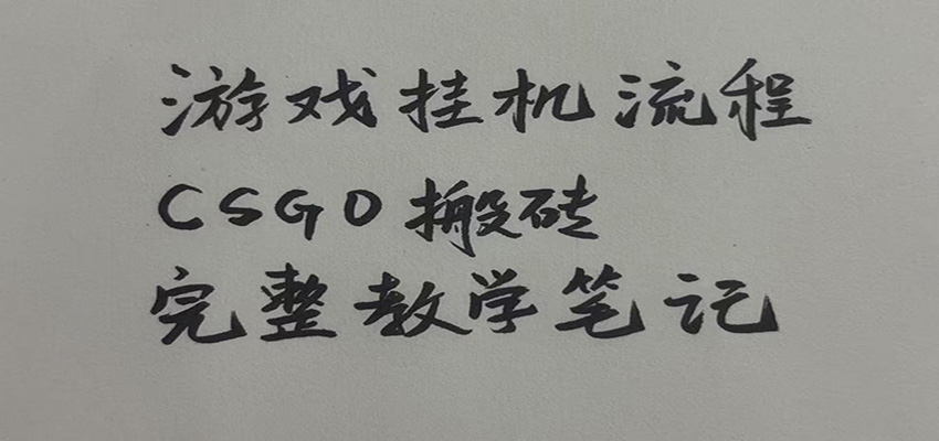游戏挂机全流程笔记分享，CSGO游戏搬砖，小白看了当天学会见收益