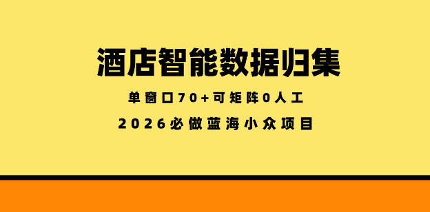 酒店智能数据归集，小众蓝海已经稳定半年之久，单窗口70+零成本矩阵开干【揭秘】
